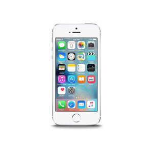 Huse si Carcase pentru iPhone 5S/5SE