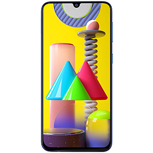 Huse si Carcase pentru Samsung Galaxy M31