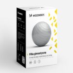 Wozinsky-Gymnastic-ball-65cm-silver-16